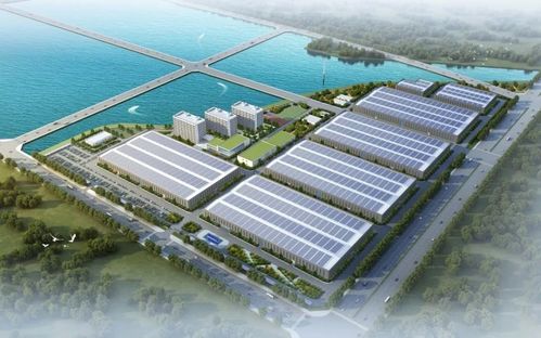 千億巨頭跨界新能源，百億項目奠基加速產業布局